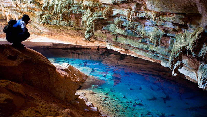 Help in the farm and nursery activities in Chapada Diamantina, Bahia