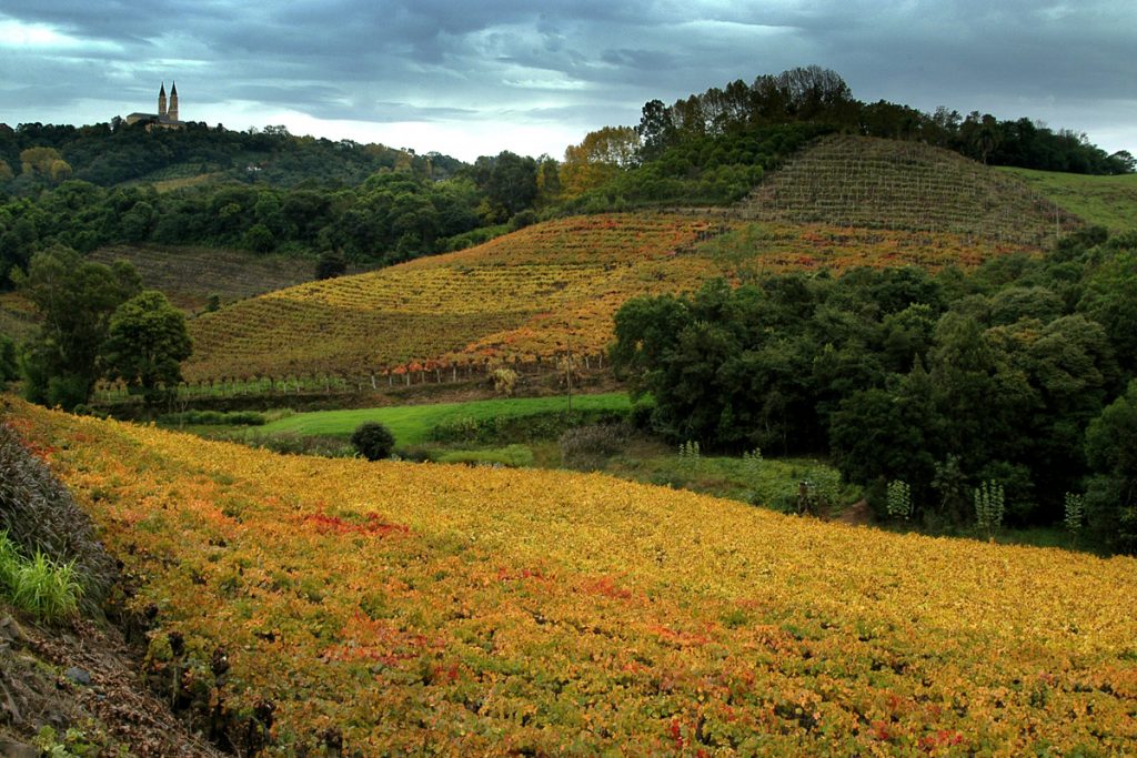 Brazil wineries to visit - Serra Gaúcha - Decanter