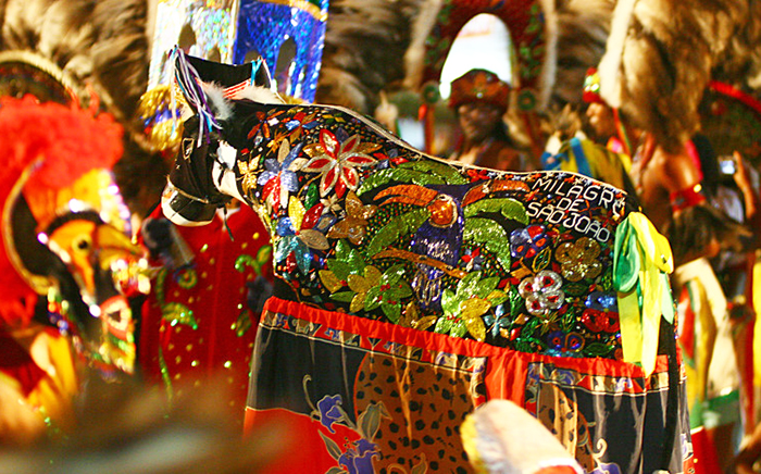 Bumba- Meu-Boi do Maranhao the Brazilian Cultural Party | Brol.com